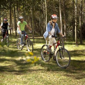 Biking, Valle Sagrdo (1)